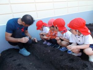 冬野菜を植えました！大きくな～れ！