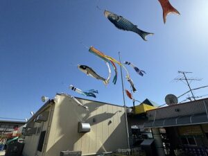 やねよ～り～たか～いこいのぼり～♬